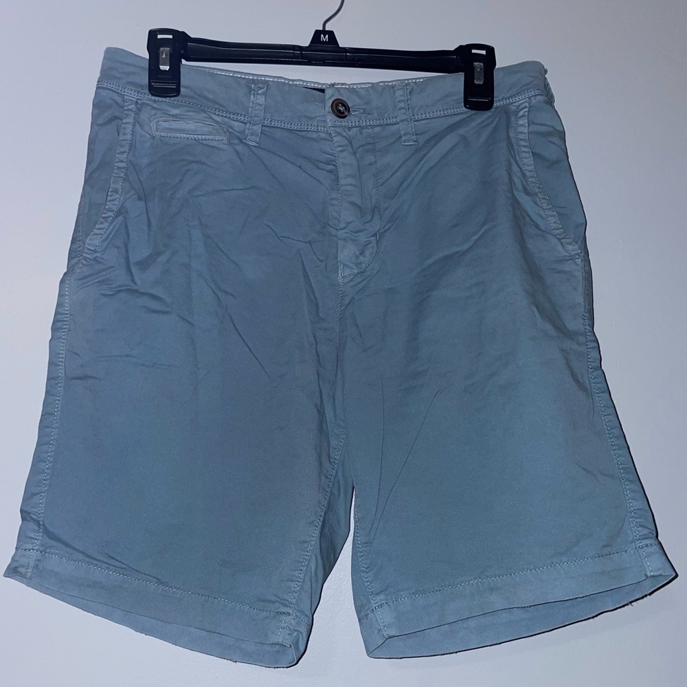 🐟American Eagle Outfitters Blue Flat Front Shorts